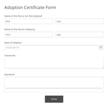 Free Forms 247FormsBuilder